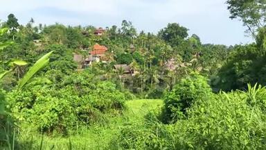 坎布汉岭步行，风景优美的绿谷在乌布达巴利，4k视频录像
